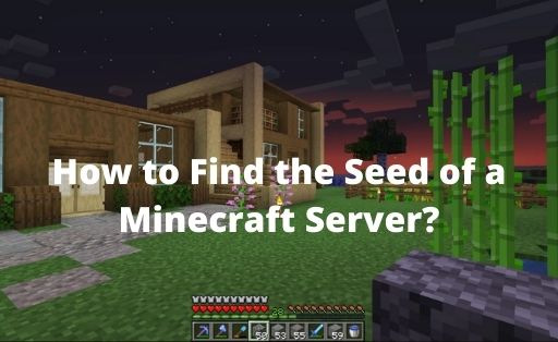 How to Find the Seed of a Minecraft Server
