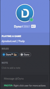 dyno bot discord