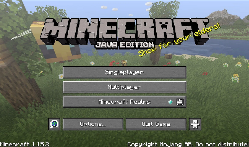 Find the Seed of a Minecraft Server Java Edition
